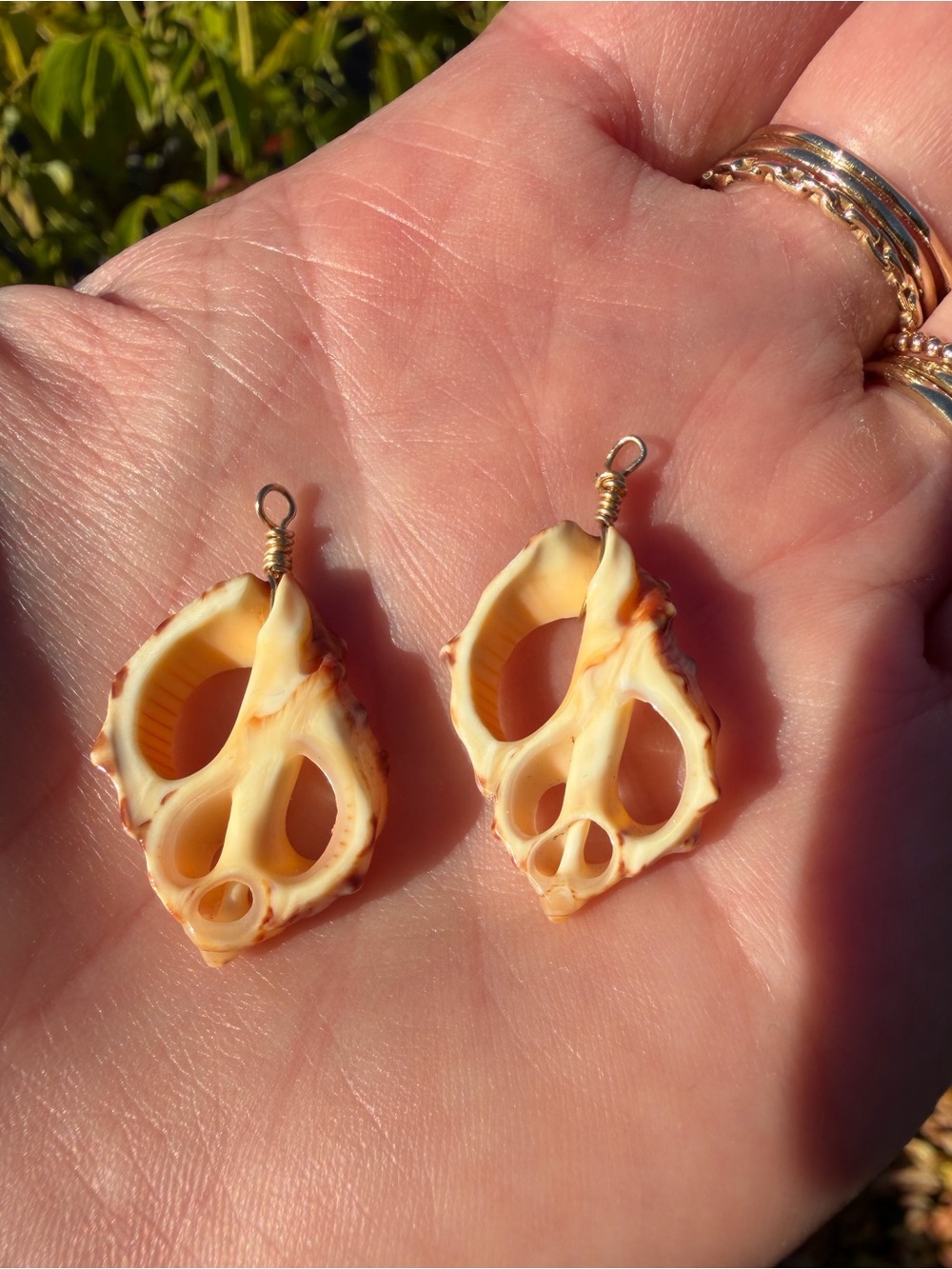 Wire wrapped shells - Picture 3 of 3